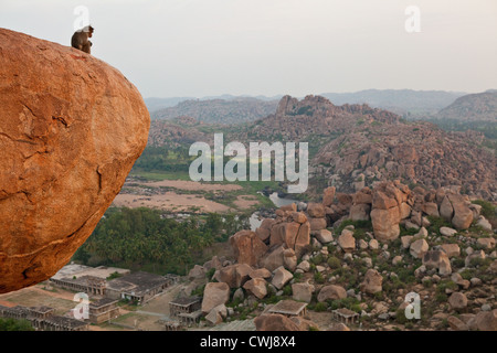 Affen beobachten den Sonnenaufgang vom Matanga Hill in Hampi, Karnataka, Indien Stockfoto