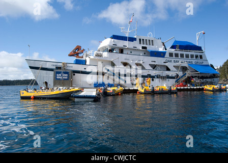 M.V. Charlotte Königin schwimmenden Anglerhütte betrieben auf Langara Insel Haida Gwaii, Norden von British Columbia, Kanada. Stockfoto