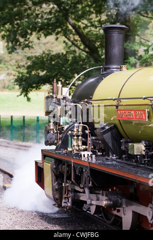 Dampfzug auf der Boot, Ravenglass Schmalspurbahn. Stockfoto