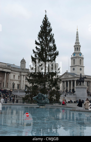 Weihnachtsbaum auf dem Trafalgar Square spiegelt sich im Brunnen-pool Stockfoto