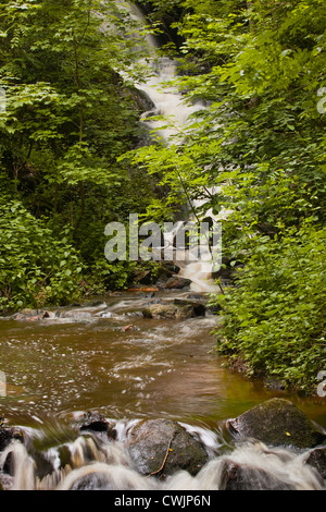 Die Gorges de Narvau in der Morvan Gegend Frankreichs. Stockfoto