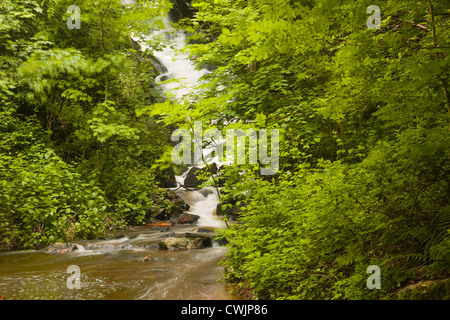 Die Gorges de Narvau in der Morvan Gegend Frankreichs. Stockfoto