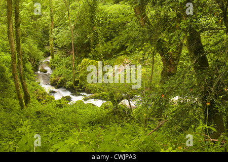 Die Gorges de Narvau in der Morvan Gegend Frankreichs. Stockfoto