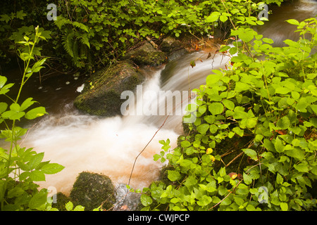 Die Gorges de Narvau in der Morvan Gegend Frankreichs. Stockfoto