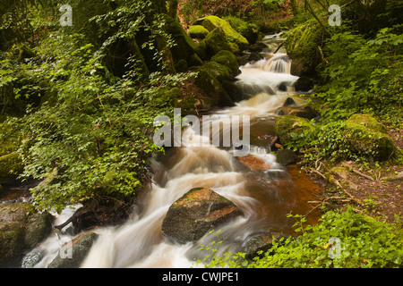 Die Gorges de Narvau in der Morvan Gegend Frankreichs. Stockfoto