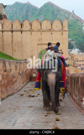 Elefanten und Mahouts die Touristen bis zum Fort Amber in der Nähe von Jaipur, Indien Stockfoto