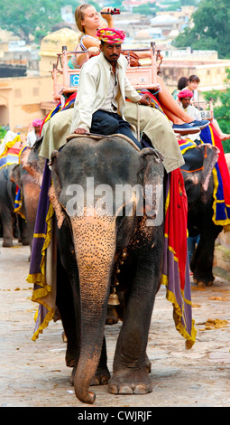 Elefanten und Mahouts die Touristen bis zum Fort Amber in der Nähe von Jaipur, Indien Stockfoto