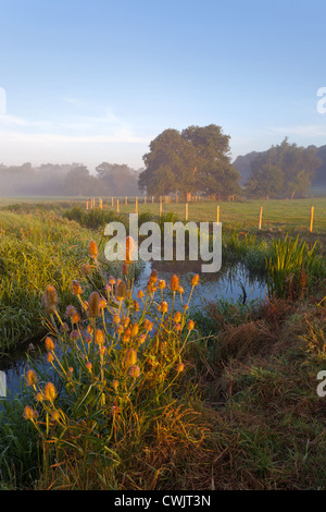 Nebel steigt aus dem Fluss Wey in Surrey bei Sonnenaufgang Stockfoto