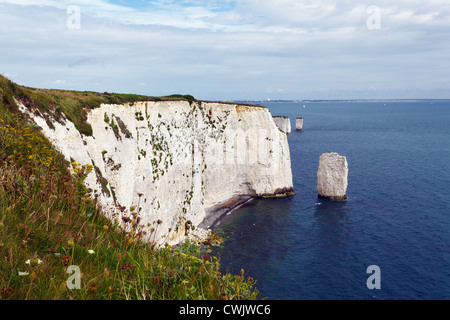 Old Harry Rocks in Dorset, England Stockfoto