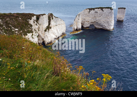 Old Harry Rocks in Dorset, England Stockfoto