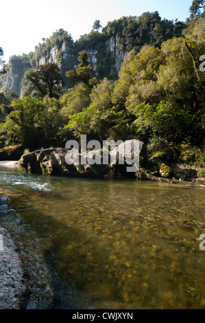 Spektakuläre ausgewaschene Felsen lag in der Pororai River Gorge im Paparoa National Park an der Westküste Neuseelands. Stockfoto