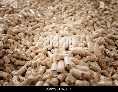 Erneuerbarer Biobrennstoff: Holzpellets Abfälle aus Holz gefertigt. Stockfoto