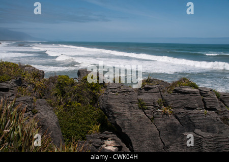 Die Pancake Rocks sind stark erodierten 30 Millionen Jahre alten Kalksteinen in der Nähe von Punakaiki Dorf im Paparoa Nationalpark in Neuseeland. Stockfoto