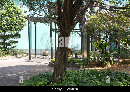 Bonsai-Garten in Sunetc Stadt in Singapur. Dies ist ein Garten, der direkt vor dem Seiteneingang des Suntec Tower 5 ist. Stockfoto