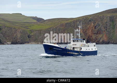 Mail-Boot gute Hirten IV nähert sich North Haven auf Fair Isle auf den Shetland-Inseln. Juni 2012. Stockfoto