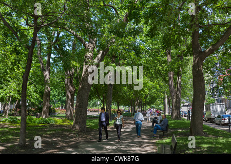 Quadratische Saint-Louis im Stadtteil Plateau Mont-Royal, Montreal, Quebec, Kanada Stockfoto