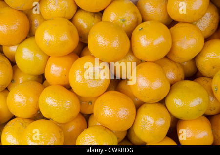 PONKAN Orangen in einem offenen Obstmarkt in den Philippinen Stockfoto