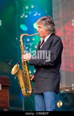 Terence Reiss der Gruppe The Straits (ehemals Dire Straits) erklingt in den Rücklauf Festival Henley on Thames 2012. PER0282 Stockfoto