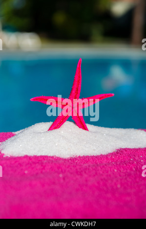 Shell and starfish in pink near the water Stockfoto