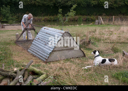 Mann, die Freilandhaltung Rettung Hühnerhaltung Stockfoto