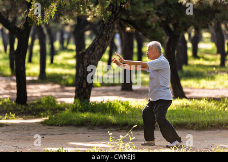 Ein alter chinesischer Mann Praktiken Tai Chi Kampfkunst trainieren Sie am frühen Morgen im Tempel des Himmels Park im Sommer in Beiji Stockfoto
