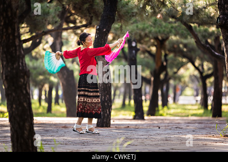 Eine ältere Chinesin Praktiken Tai Chi Fan Tanz Kampfkunst trainieren Sie am frühen Morgen im Tempel des Himmels Park Stockfoto