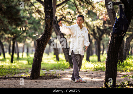 Chinesische Volk Praktiken Tai Chi Kampfkunst am frühen Morgen im Tempel des Himmels Park im Sommer in Peking trainieren Stockfoto