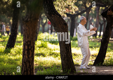 Chinesische Volk Praktiken Tai Chi Kampfkunst am frühen Morgen im Tempel des Himmels Park im Sommer in Peking trainieren Stockfoto