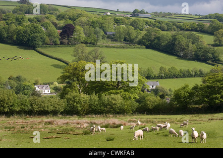 Blick in Richtung Trepp, Carmarthenshire, südwales, Großbritannien Stockfoto