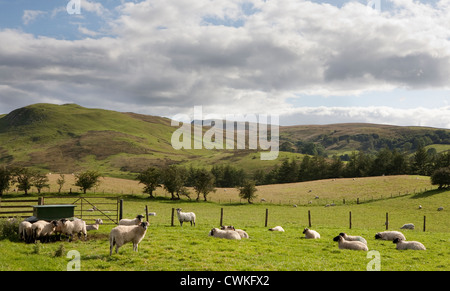 Outhgill Bauernhof Landschaft in der Nähe von Mallerstang Tal in Kirkby Stephen, East Cumbria, UK Stockfoto