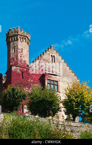 Die Mittelburg (Mittelschloss) in Neckarsteinach, Deutschland. Stockfoto