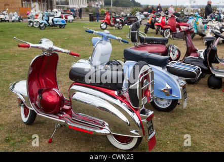 Scooter-Rallye Stockfoto