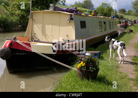 Oxford-Kanal bei Clayden, Oxfordshire Stockfoto