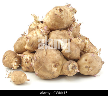 Haufen von Topinambur-Gemüse, Helianthus tuberosus Stockfoto