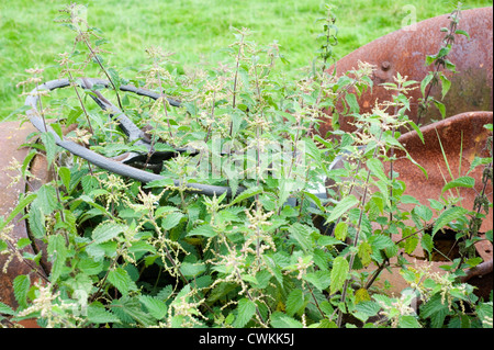 alte verlassene rostenden Traktor in Bauern Feld Stockfoto