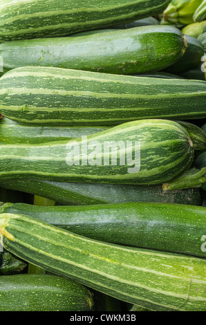 Anzeige der frischen Kürbis zum Verkauf auf dem Bauernmarkt Stockfoto