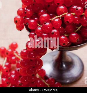 Frische und Reife Johannisbeeren Stockfoto