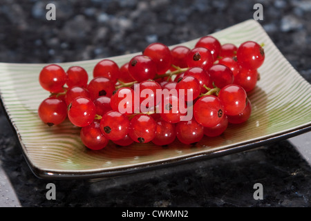 Frische und Reife Johannisbeeren auf einem Teller Stockfoto