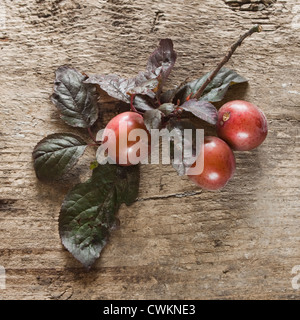 Reife Cherrys, Pflaumen auf einem hölzernen Hintergrund Stockfoto