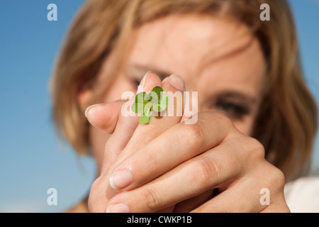 vier blätterte Klee Stockfoto