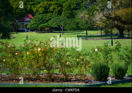 Neue Farm Park, Brisbane Queensland Australien Stockfoto