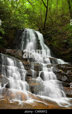 Laurel Falls - Great Smoky Mountain National Park Stockfoto