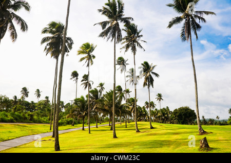 Ein wunderschöner Golfplatz in den Philippinen Stockfoto