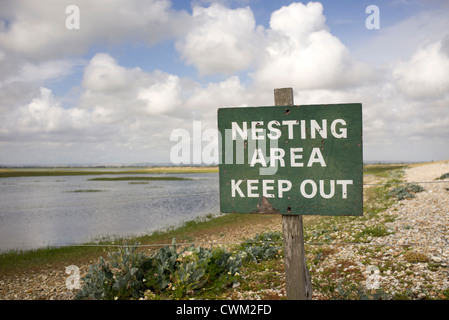 Vogel-Nistplatz im Naturreservat Pagham Hafen Stockfoto