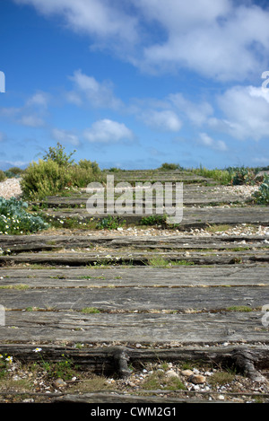 alte Eisenbahnholzschwellen am Strand von Pagham Harbour Nature Reserve West Sussex Stockfoto