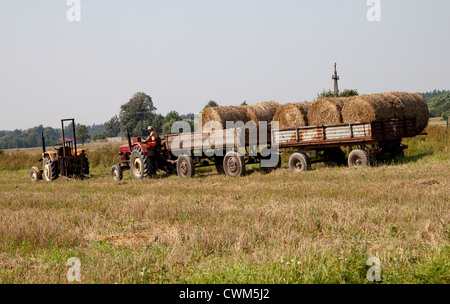 Landwirt Abholung große Rundballen Heu geerntet aus dem landwirtschaftlichen Bereich. Zawady Zentralpolen Stockfoto