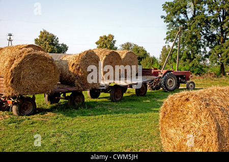 Runde Heuballen geladen auf Bauern Carts bereit, mit dem Traktor in die Scheune für die Lagerung gebracht. Zawady Zentralpolen Stockfoto