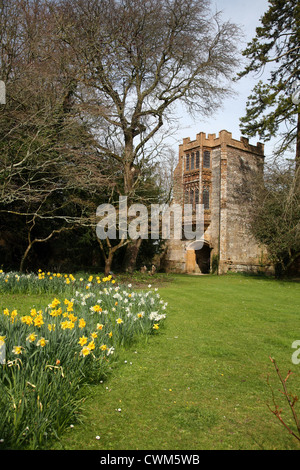 England Dorset Cerne Abbas Ruinen der erhaltenen Äbte Veranda in der Abtei im frühen Frühjahr Stockfoto