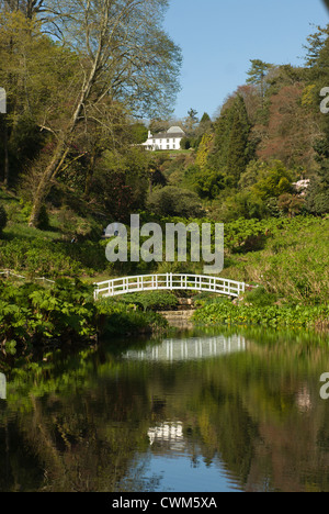 Das Haus am Altersitz in Cornwall spiegelt sich in der ruhigen und beruhigenden Teich innerhalb der subtropischen Gärten Stockfoto