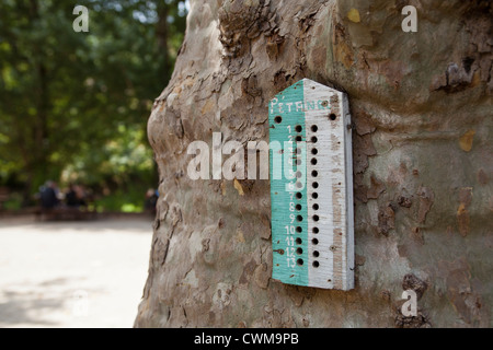 Ein Petanque-Anzeiger an einem Baum im Dorf von Vers, Frankreich. Stockfoto